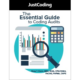 The Essential Guide to Coding Audits