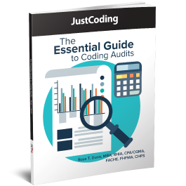 The Essential Guide to Coding Audits